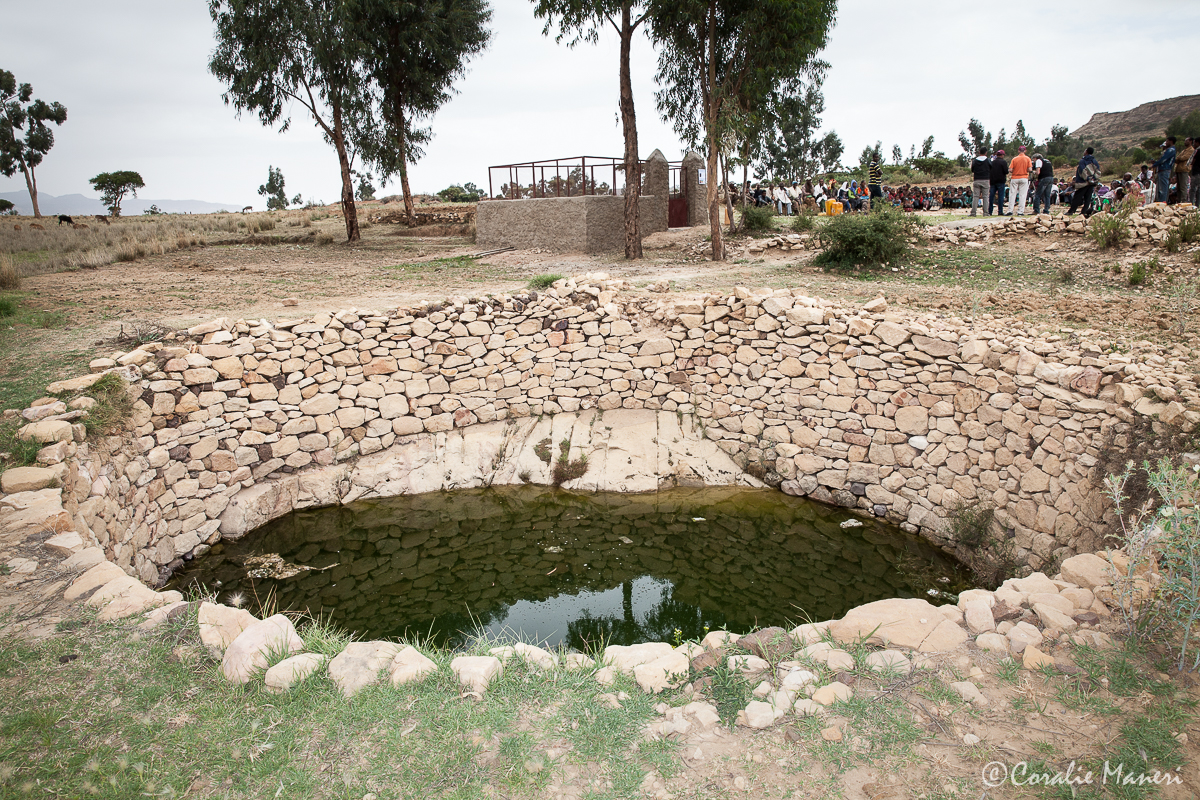 Tsetsiha (12)