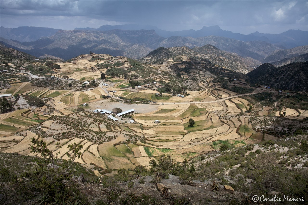 MG_9859-1