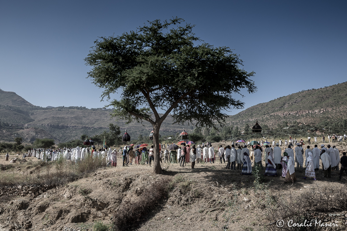 mugulat (6)