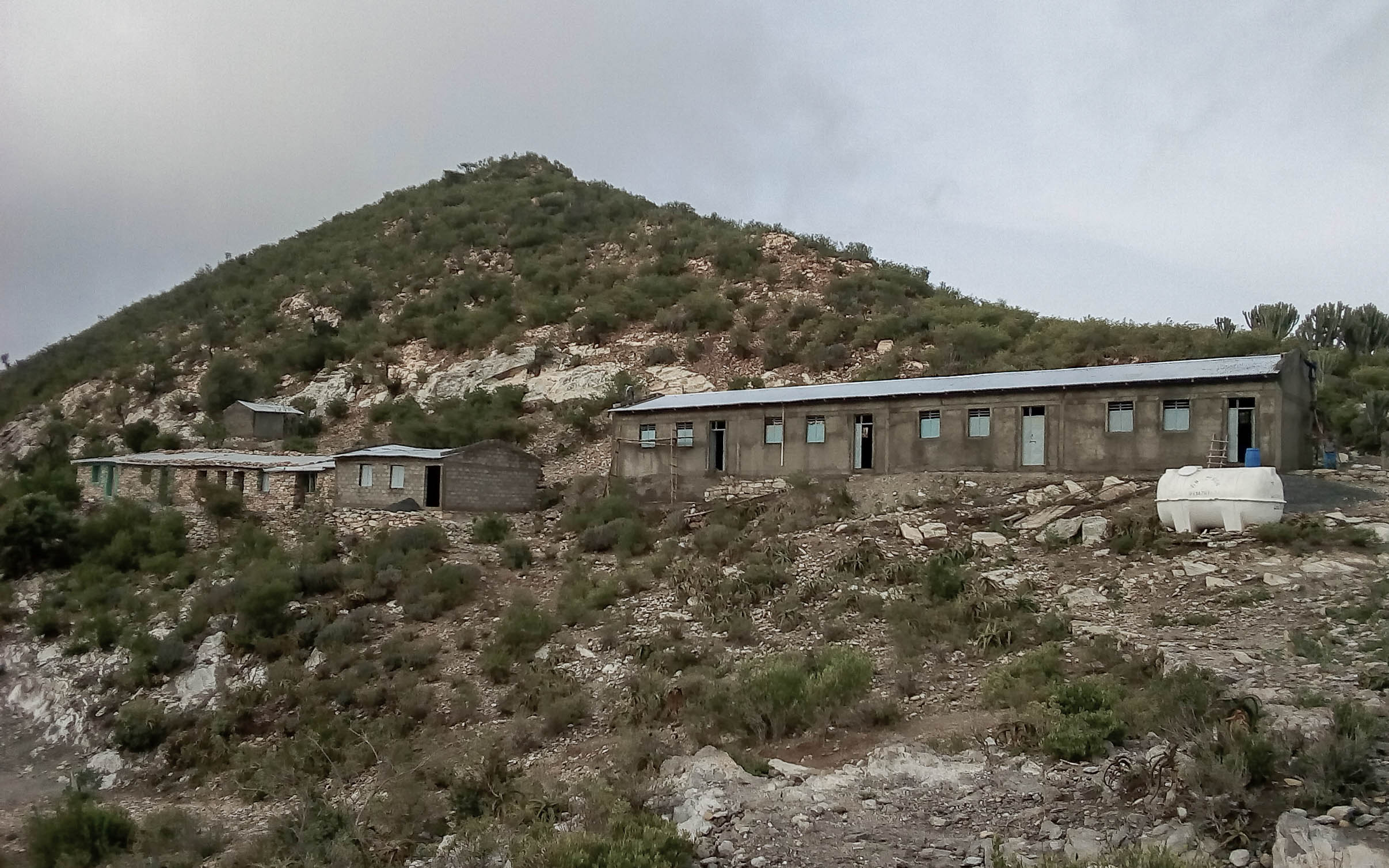 IMG_20200724_175818